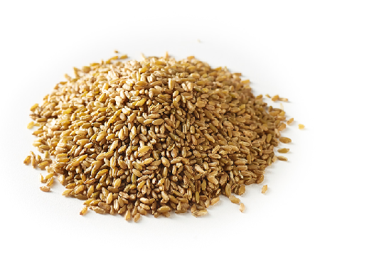 Freekeh