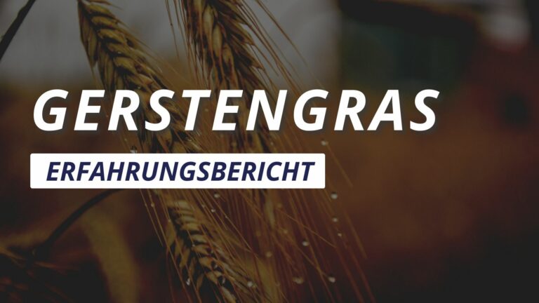 Meine Erfahrungen mit Gerstengras