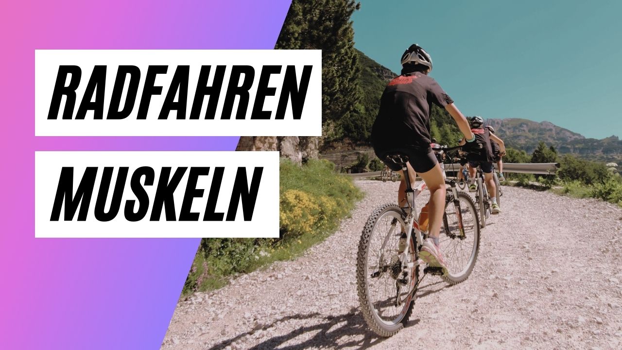 Welche Muskelgruppen werden beim Radfahren am meisten belastet?